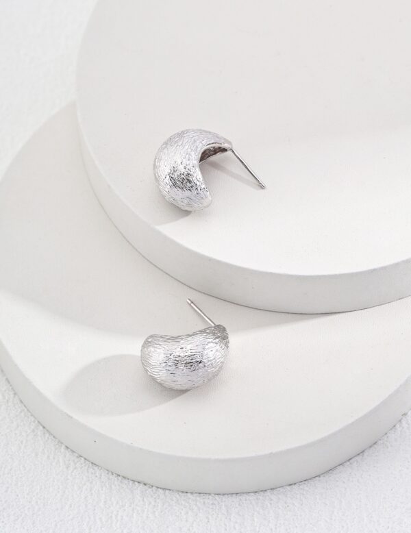 Lunar Textures Sterling Silver Earrings - Image 2